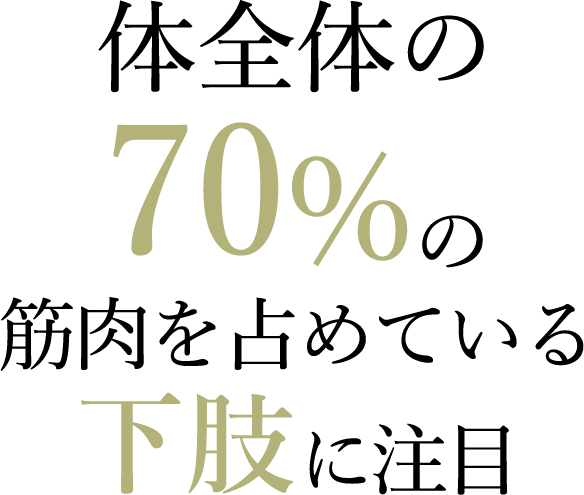 体全体の70%の筋肉をている下肢に注目